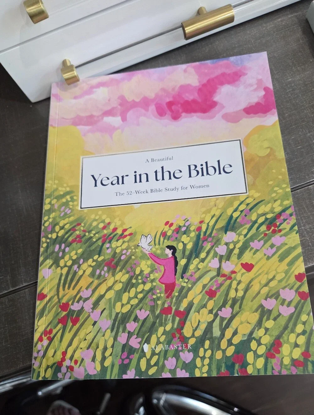Year in the Bible - Floral Illustrated Paperback
